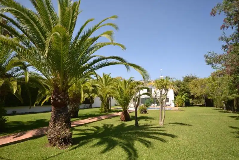 Casa amb piscina en venda a San Pedro de Alcántara, imagen 3