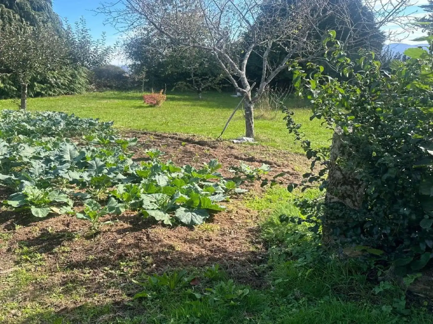 Maison avec jardin à vendre à Lalín, imagen 37