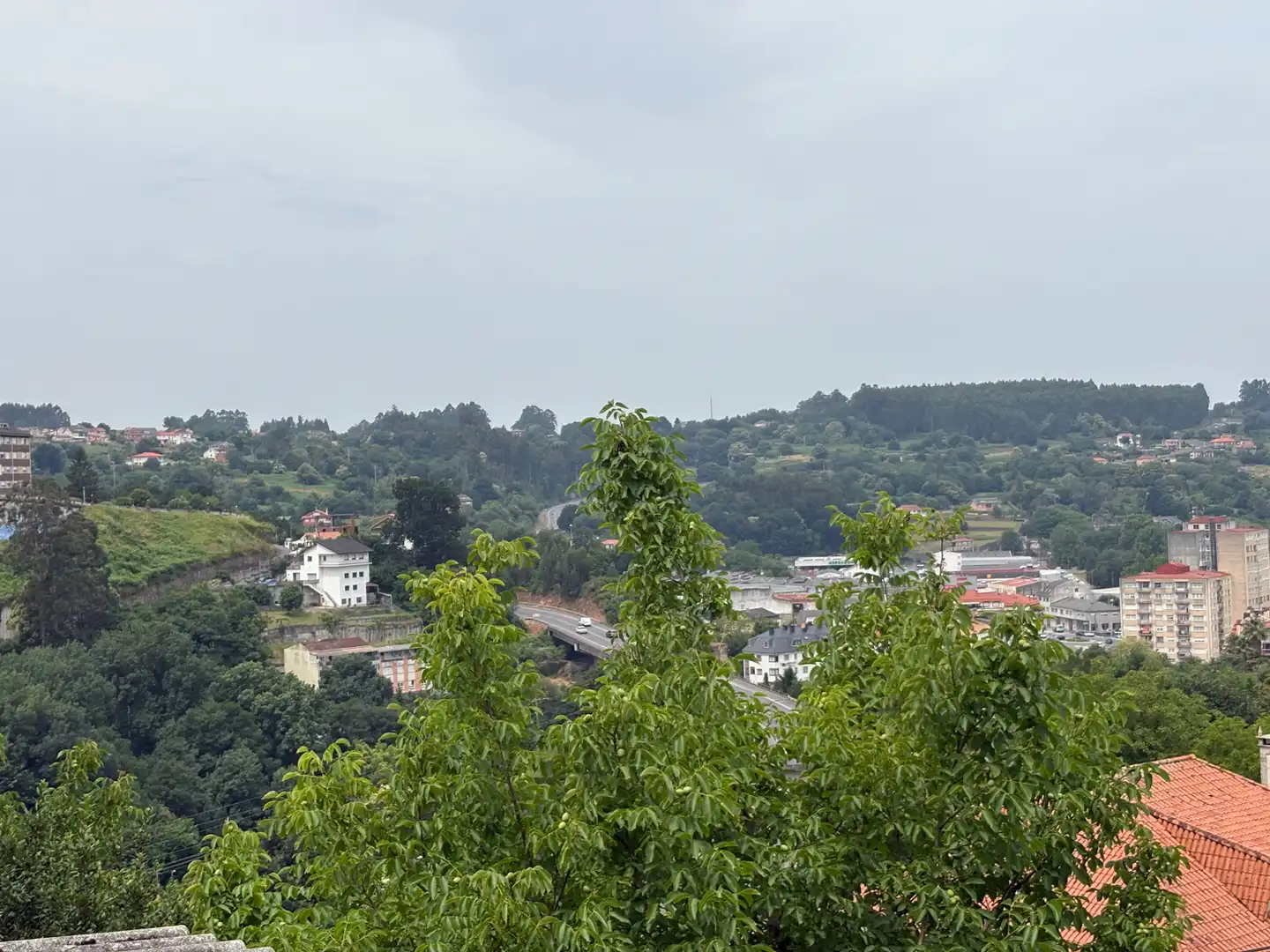 Exterior view of Industrial buildings for sale in Betanzos