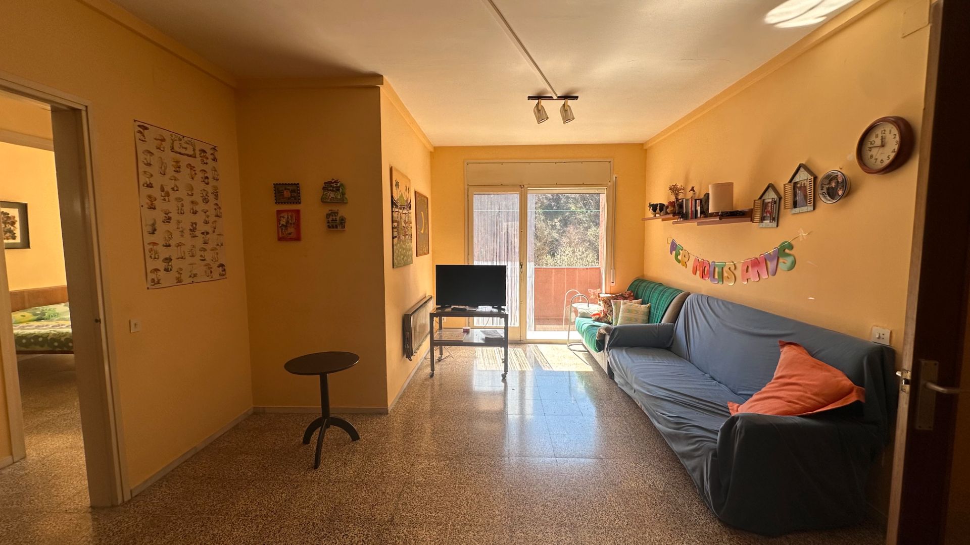 Living room of Flat for sale in Ribes de Freser  with Balcony