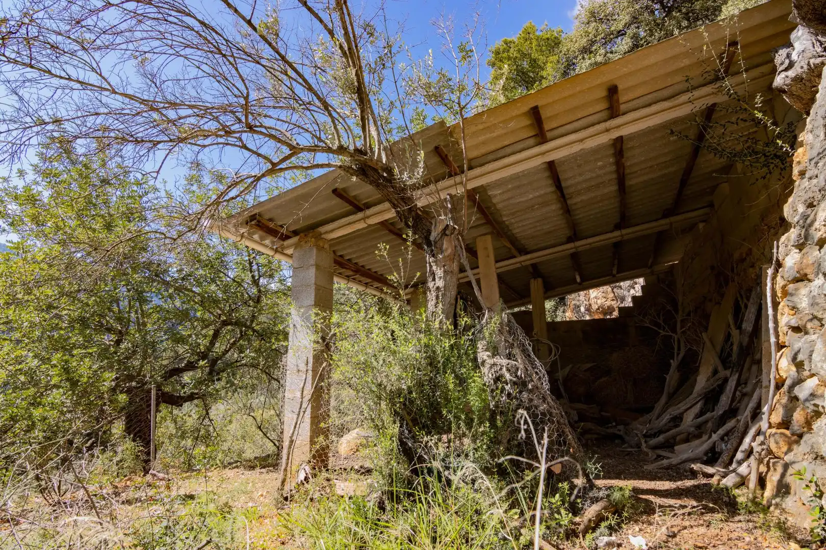 Vista exterior de Terreno en venta en Sóller