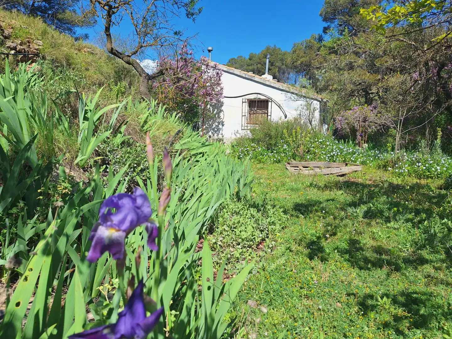 Jardí de Finca rústica en venda en Alcoy / Alcoi amb Traster i Moblat