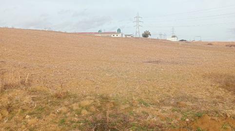 Foto 3 de Terreny en venda a Avenida Extremadura, S-n, Santiponce, Sevilla