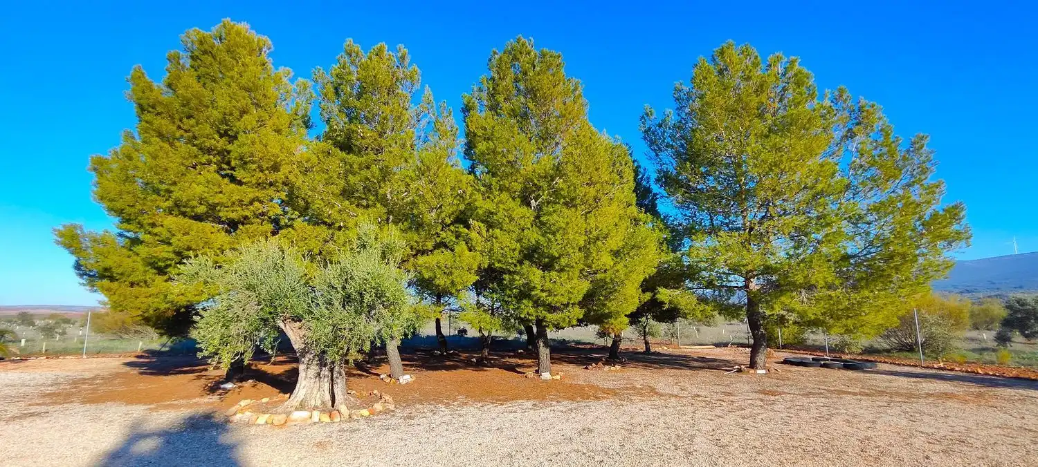Casa o chalet en venta en La Solana   con Jardín privado, Terraza y Trastero