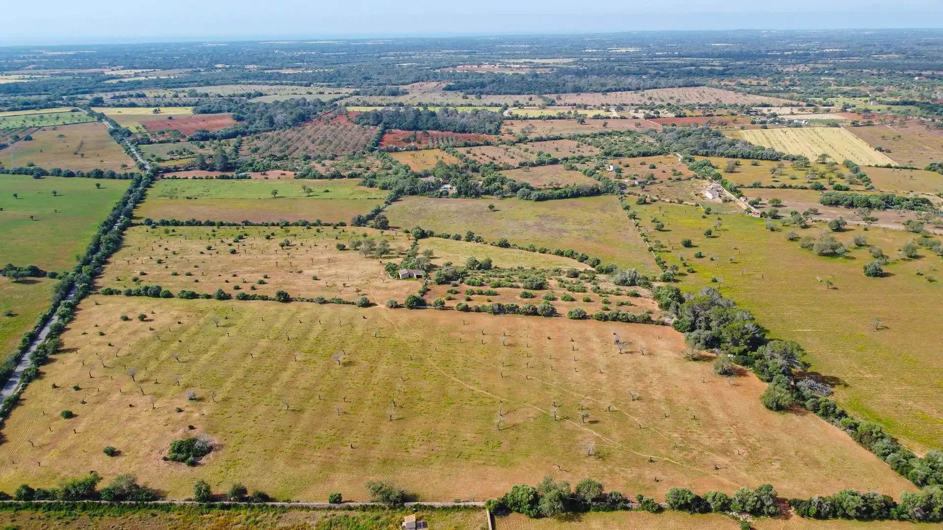 Terreno rustico in vendita a Llucmajor pueblo, imagen 3