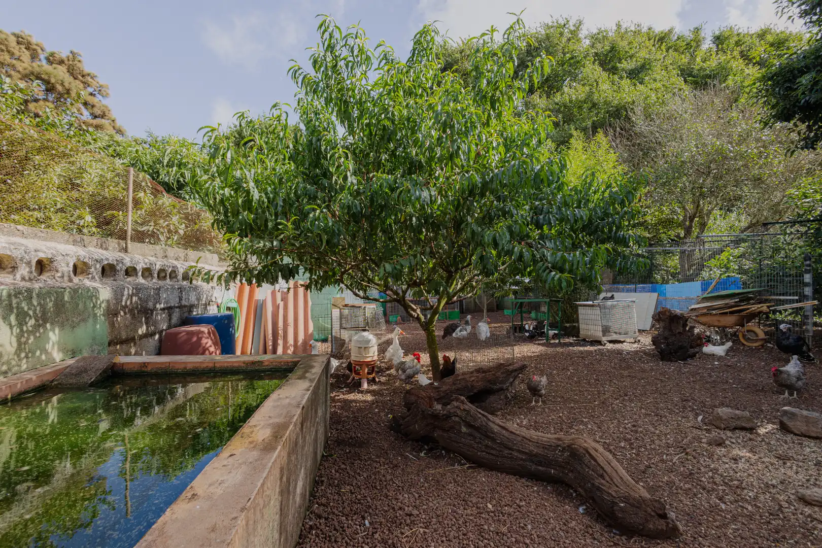 Jardí de Casa o xalet en venda en Guamasa - El Ortigal - Los Rodeos