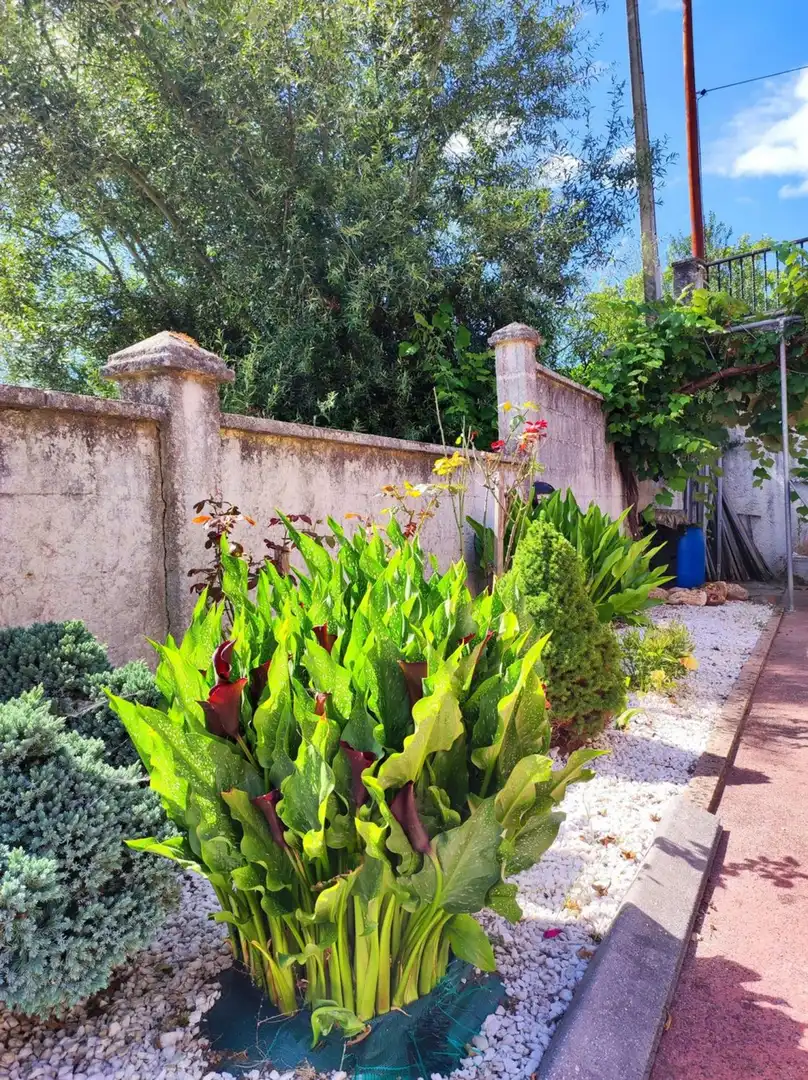 Villa con giardino in vendita a SOBRE IGREXA, imagen 83