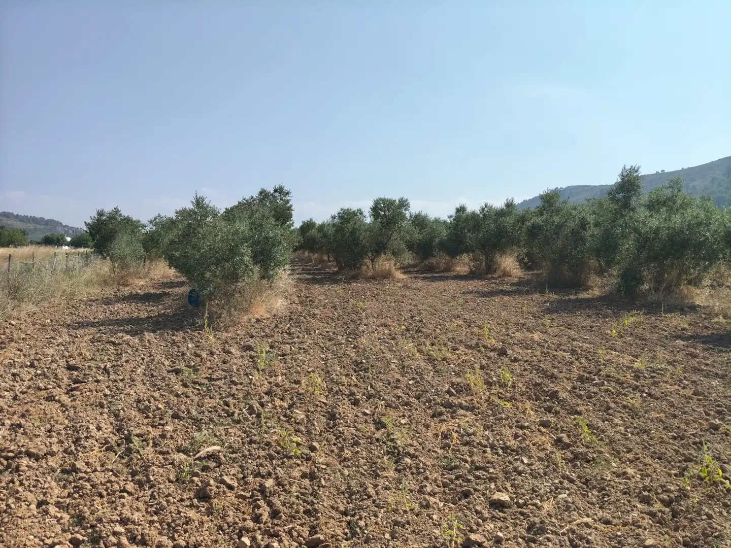 Rustikales Grundstück zum Verkauf in Ciutat d'Alcúdia, imagen 8