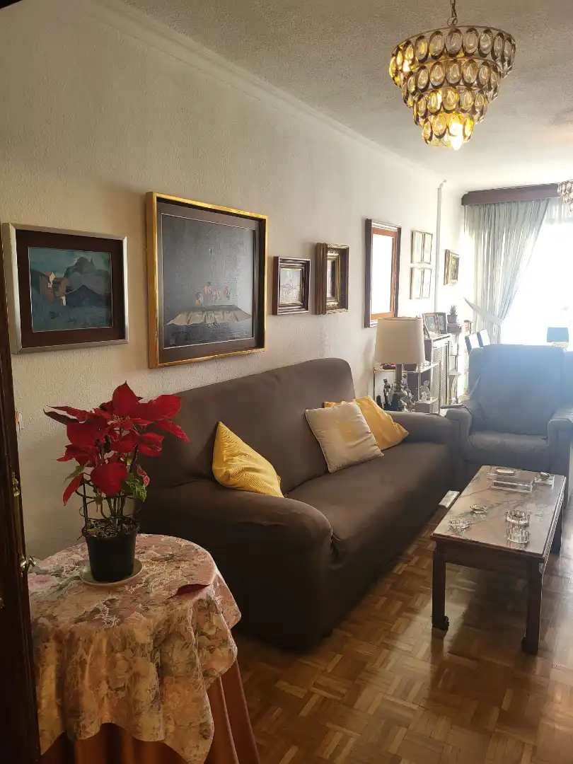 Sala de estar de Piso en venta en Madrid con Aire acondicionado, Calefacción y Parquet