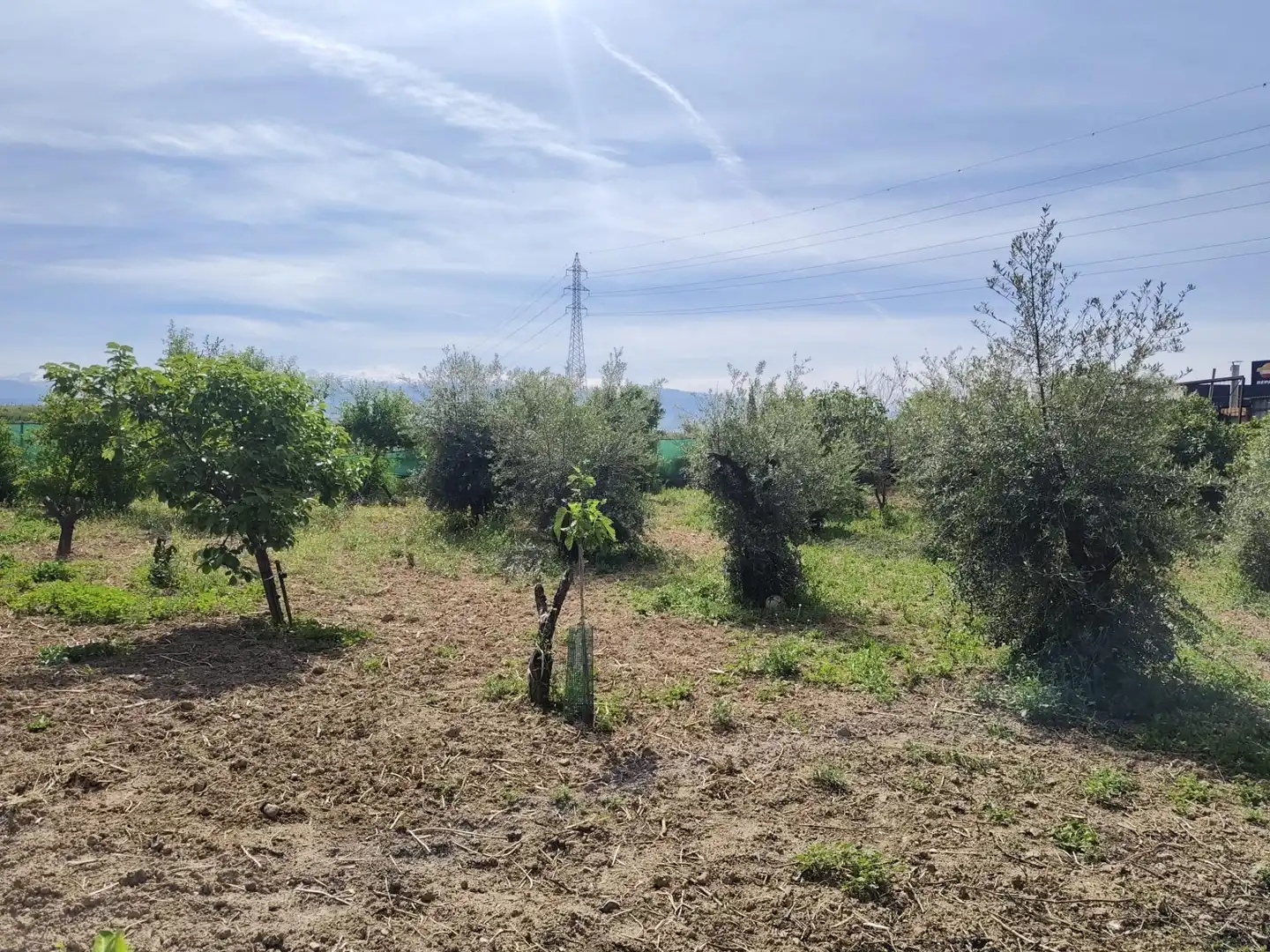 Country homes for sale in Albolote  with Private garden and Storage room