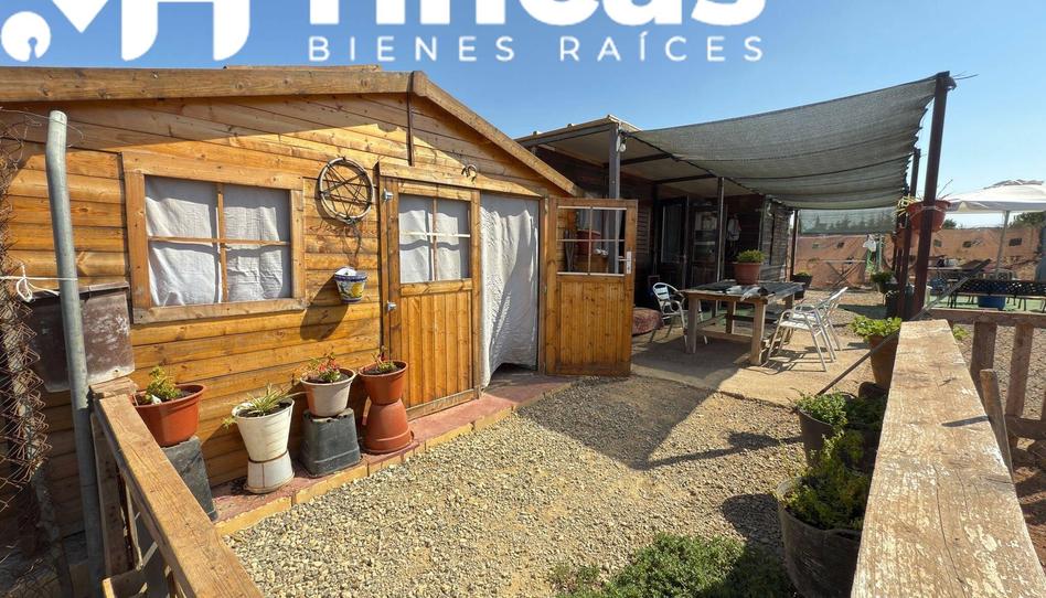 Foto 1 de Finca rústica en venda a  Polígono 7 Paraje 32 Dehesa Yegua, 21, Los Molares, Sevilla