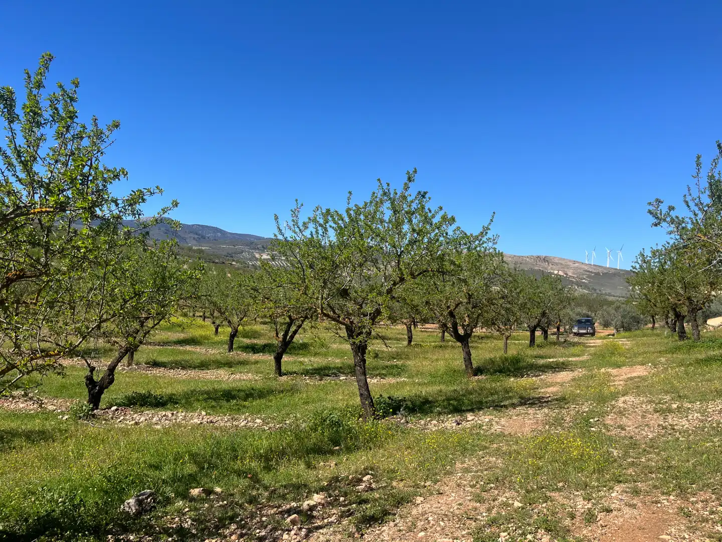 Rustikales Grundstück zum Verkauf in Camino de la Sierra, imagen 6