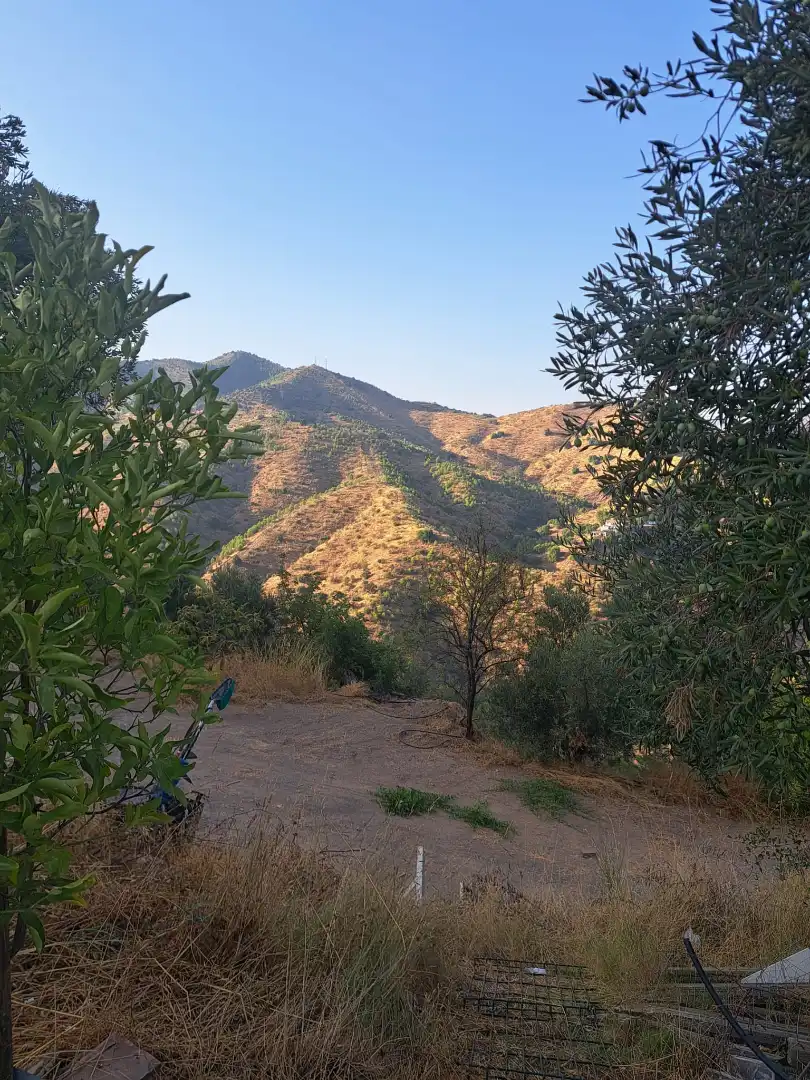 Vista exterior de Casa o xalet en venda en Málaga amb Moblat