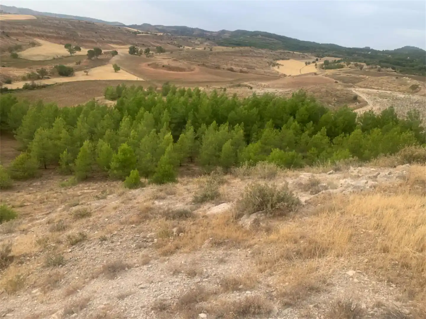 Land for sale in La Peraleja  