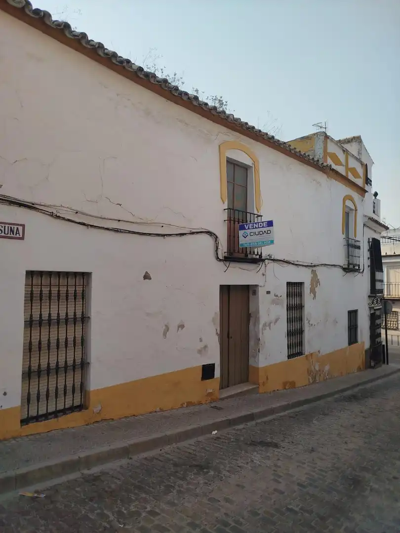 Exterior view of Houses for sale in Morón de la Frontera
