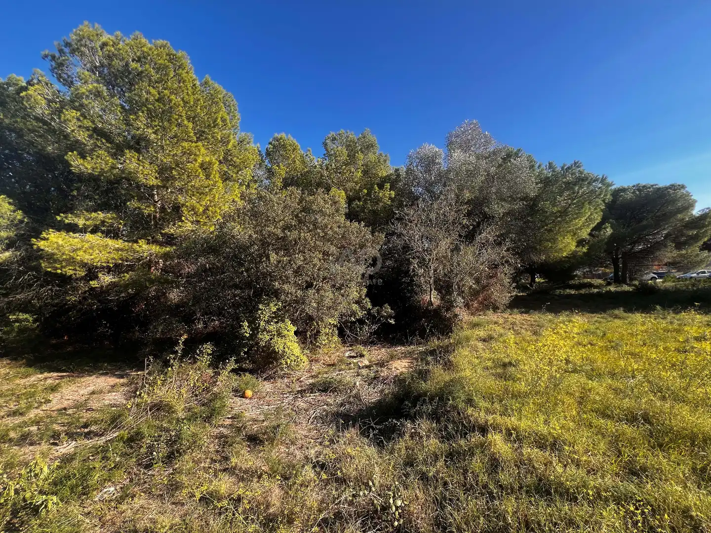 Residencial en venda en Palamós