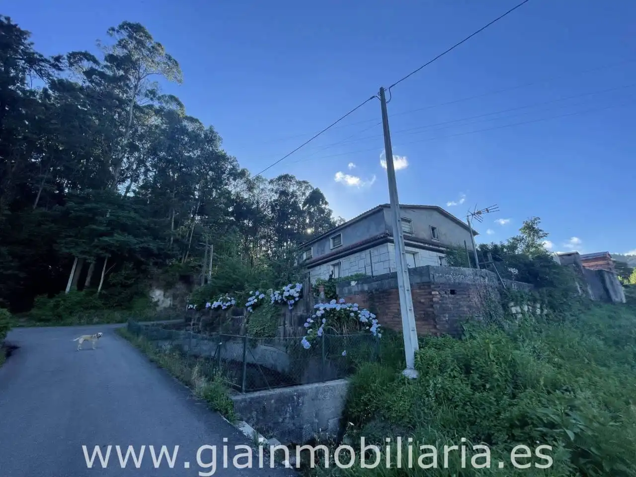 Vista exterior de Casa o xalet en venda en Tomiño amb Calefacció i Jardí privat