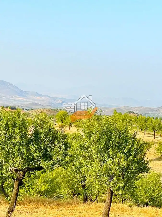 Country house for sale in Vélez-Rubio, imagen 19