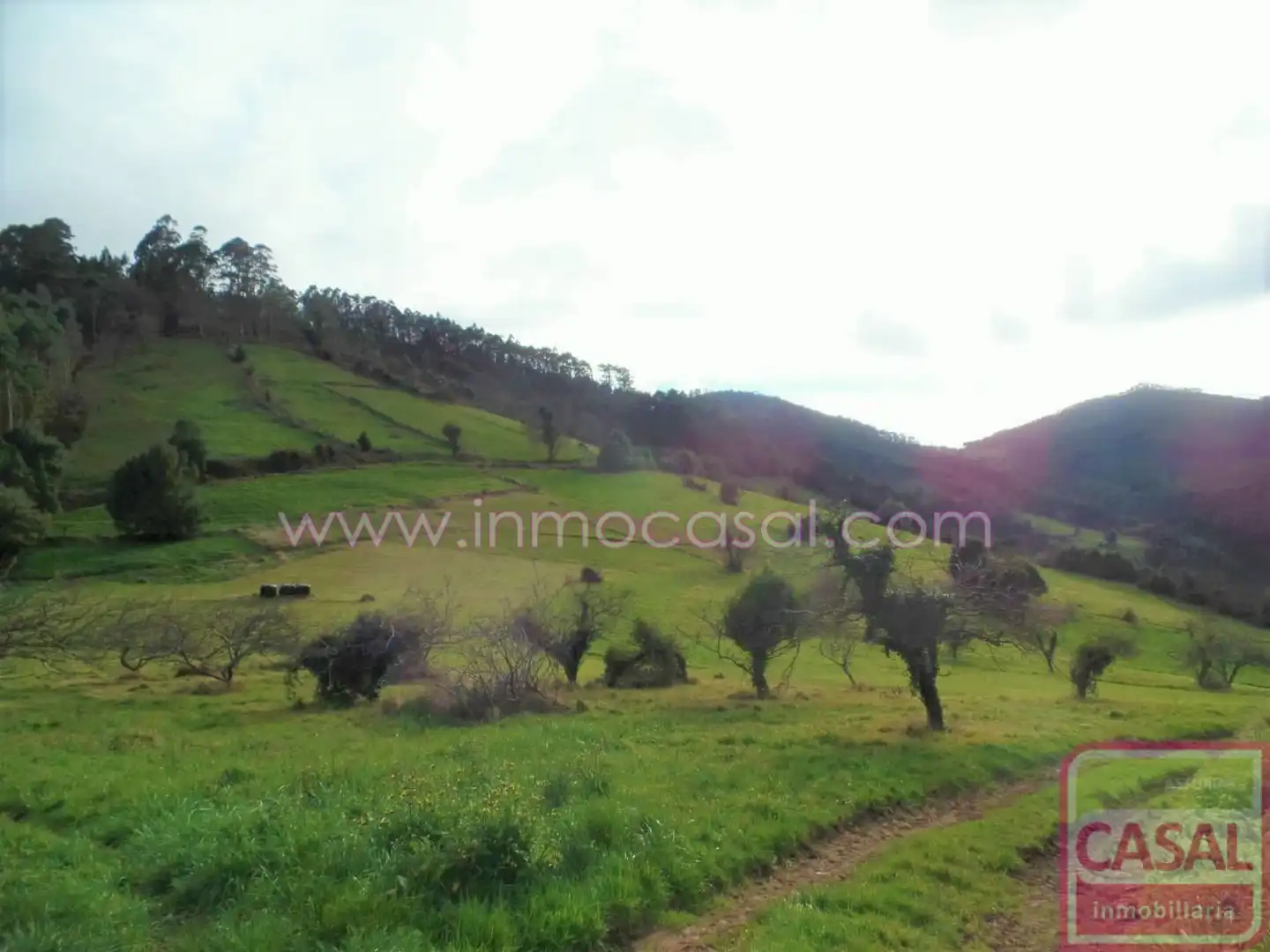 Houses for sale in Candamo  with Storage room