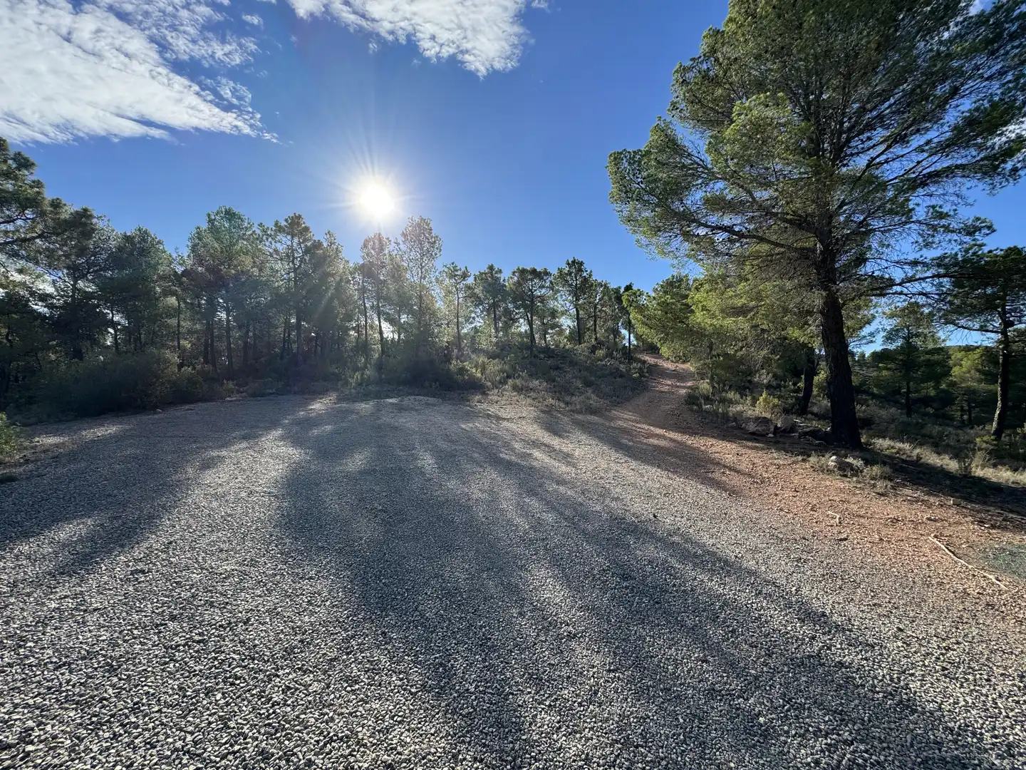 Terreny rústic en venda a Caravaca de la Cruz, imagen 5