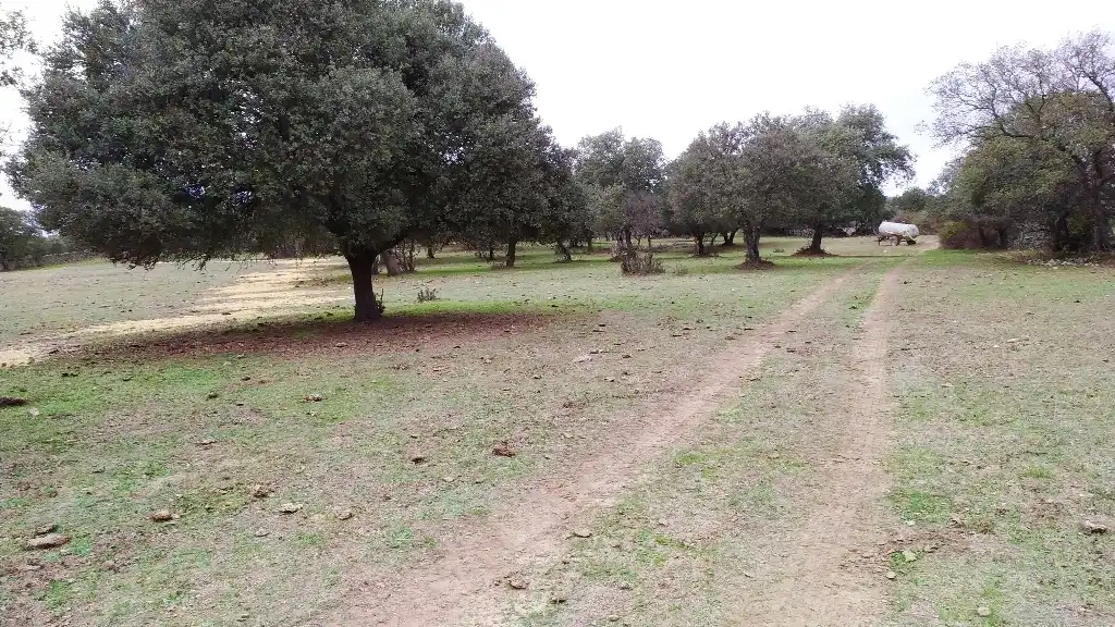 Terreni e lotti in vendita a Fresnedilla
