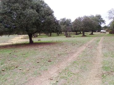 Terreno rústico en venta en Fresnedilla