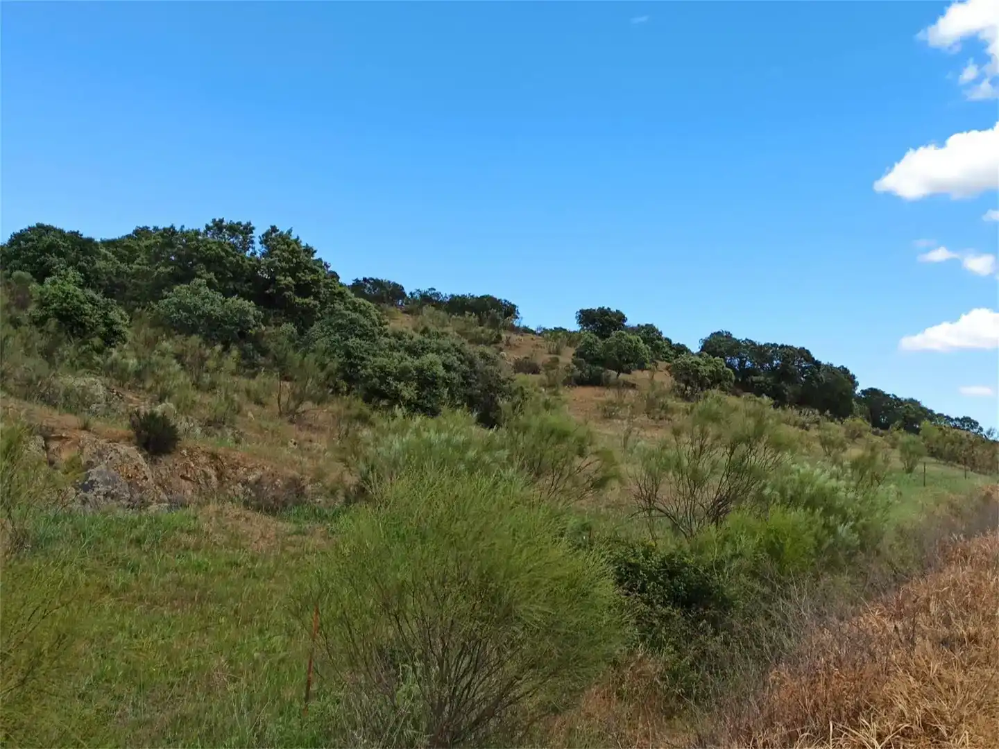 Land for sale in Jaraicejo, Cáceres
