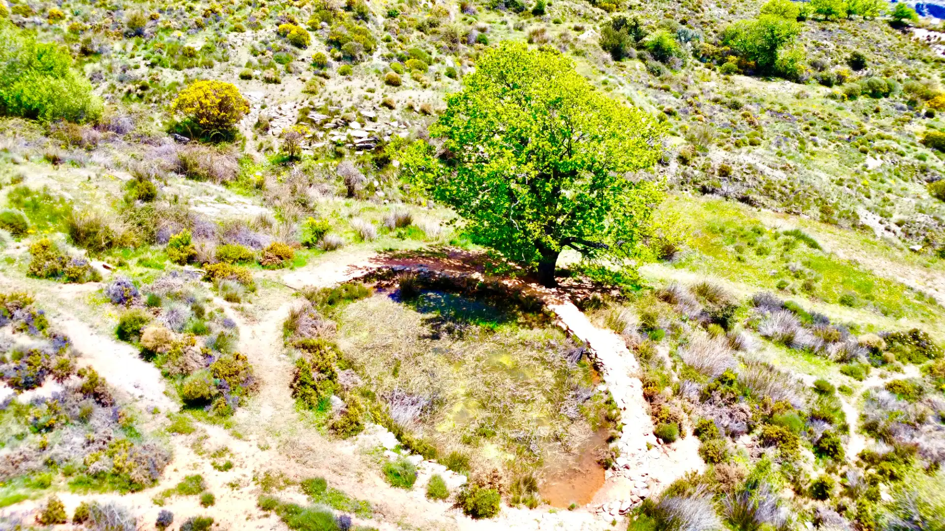Terreni e lotti in vendita a Nevada, imagen 64