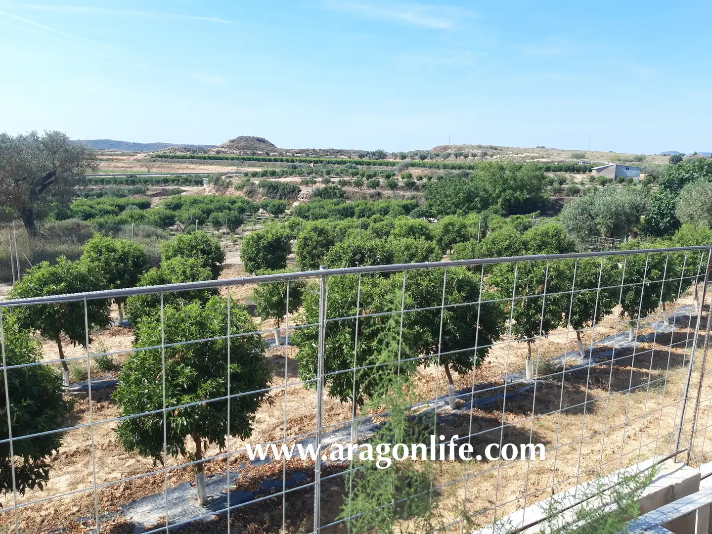 Jardín de Finca rústica en venta en Caspe con Amueblado