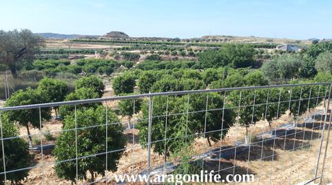 Foto 2 de Finca rústica en venta en Huerta Rimer de Alla, Caspe, Zaragoza