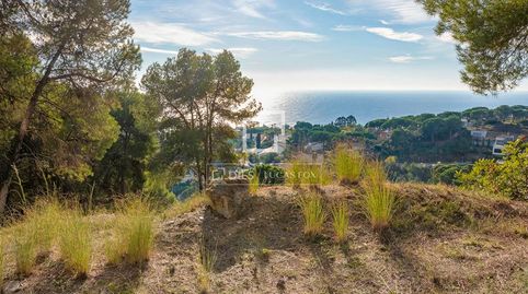 Parcela en excelentes condiciones en venta en Blanes, Costa Brava