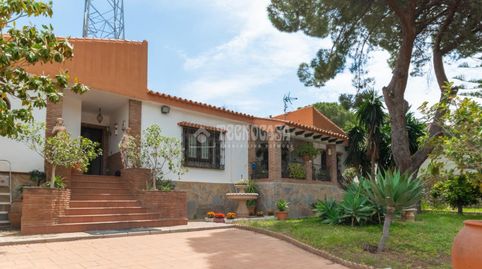 Foto 4 de Casa o xalet en venda a Pinos de Alhaurín, Alhaurín de la Torre
