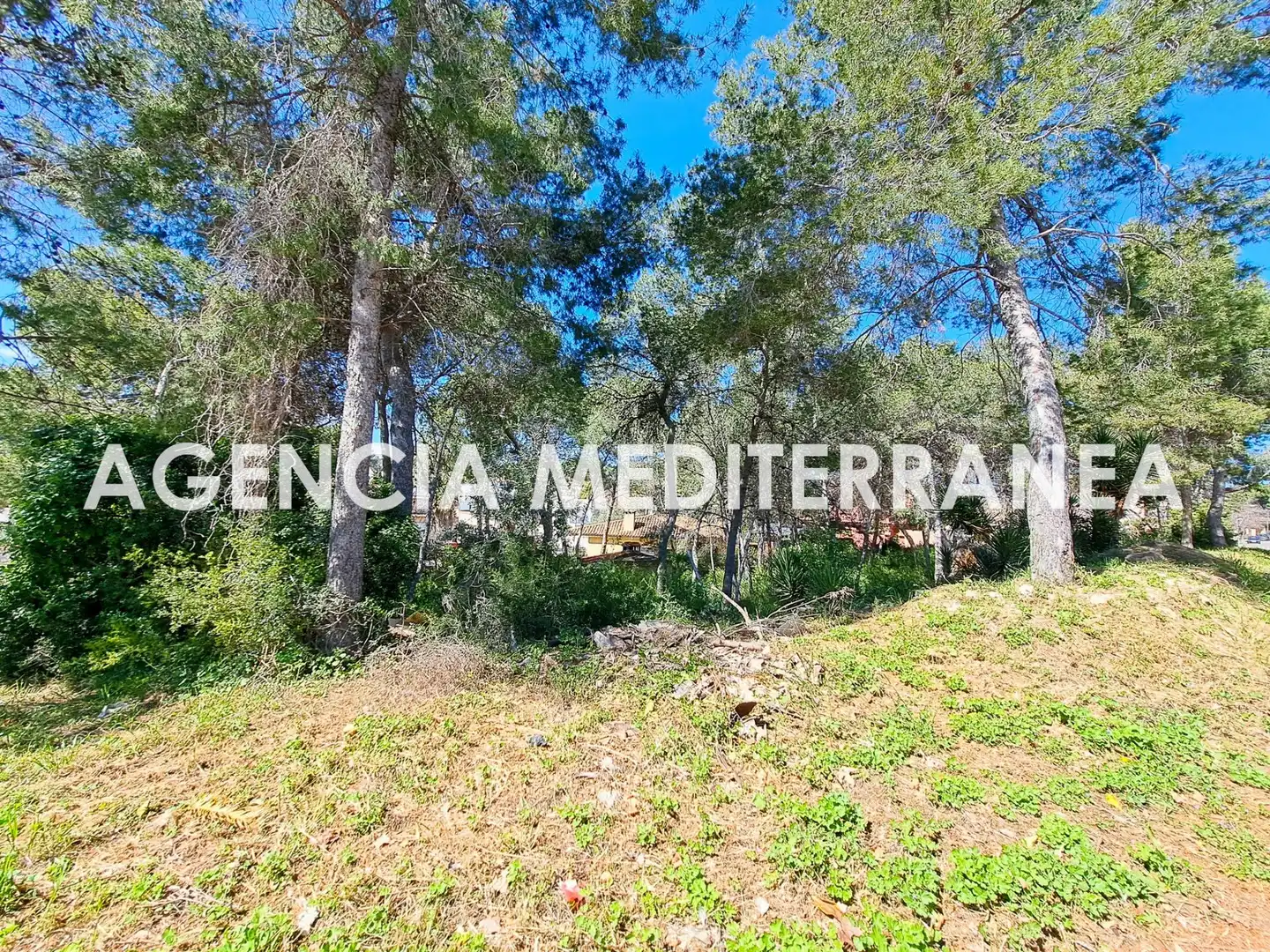 Terreny residencial en venda a La Cañada, imagen 2