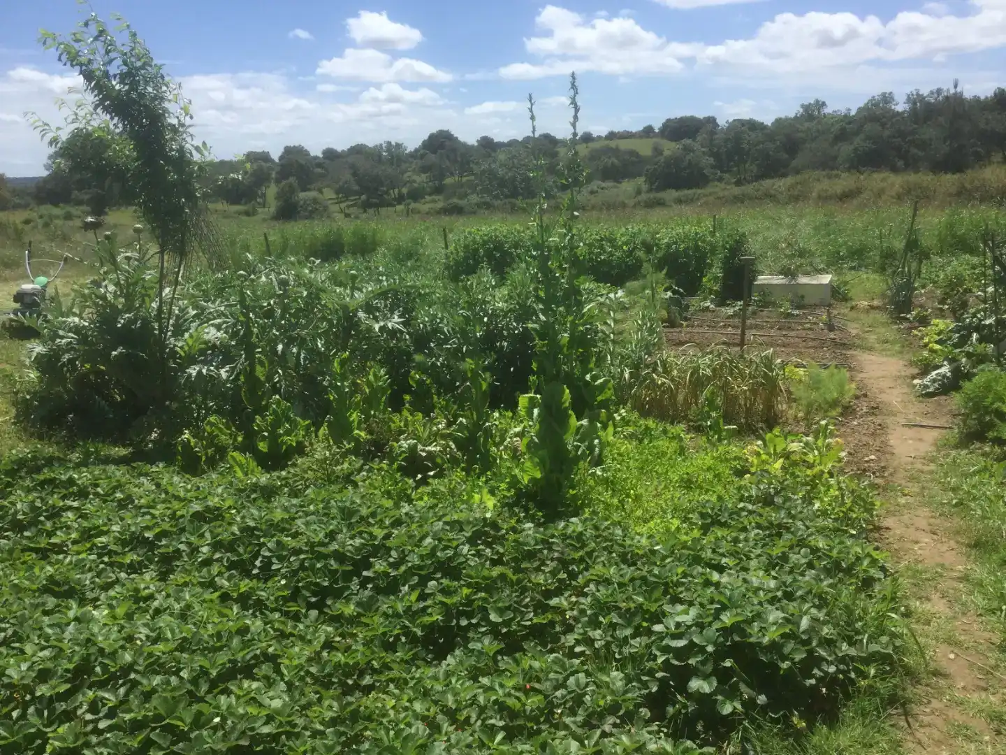Finca rústica en venda en Villasbuenas de Gata amb Aire condicionat, Traster i Piscina