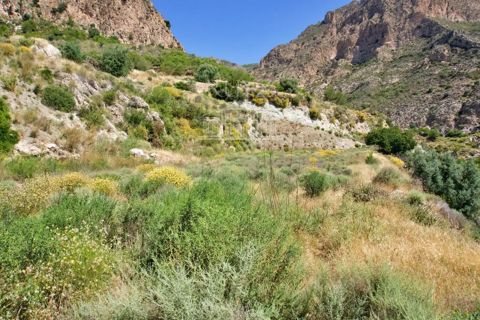 Terreny rústic en venda a Paraje Minchal Alto, imagen 6