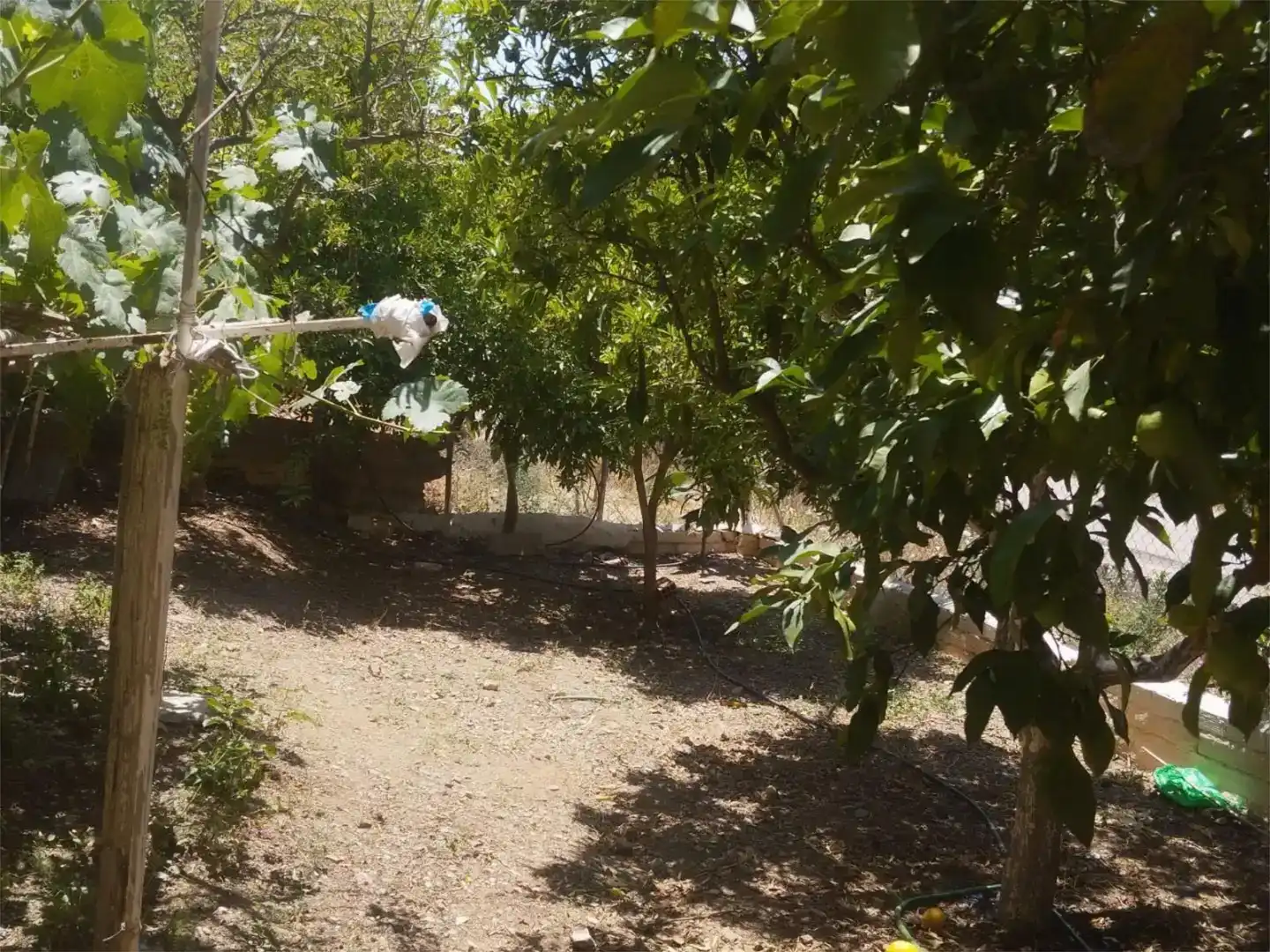 Pis en venda en Almogía, Málaga