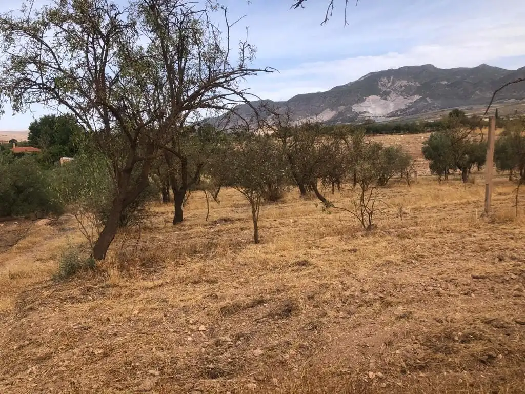 Rural land for sale in Dúrcal