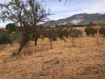 Terreno rustico in vendita a Dúrcal