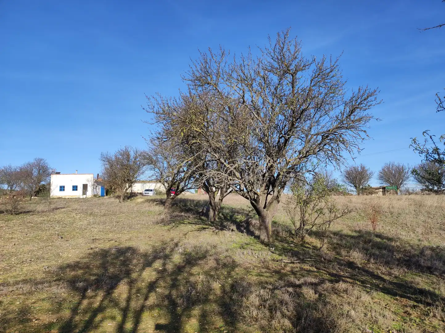 Finca rústica en venda a Carretera Autilla, 37, Allende el Río