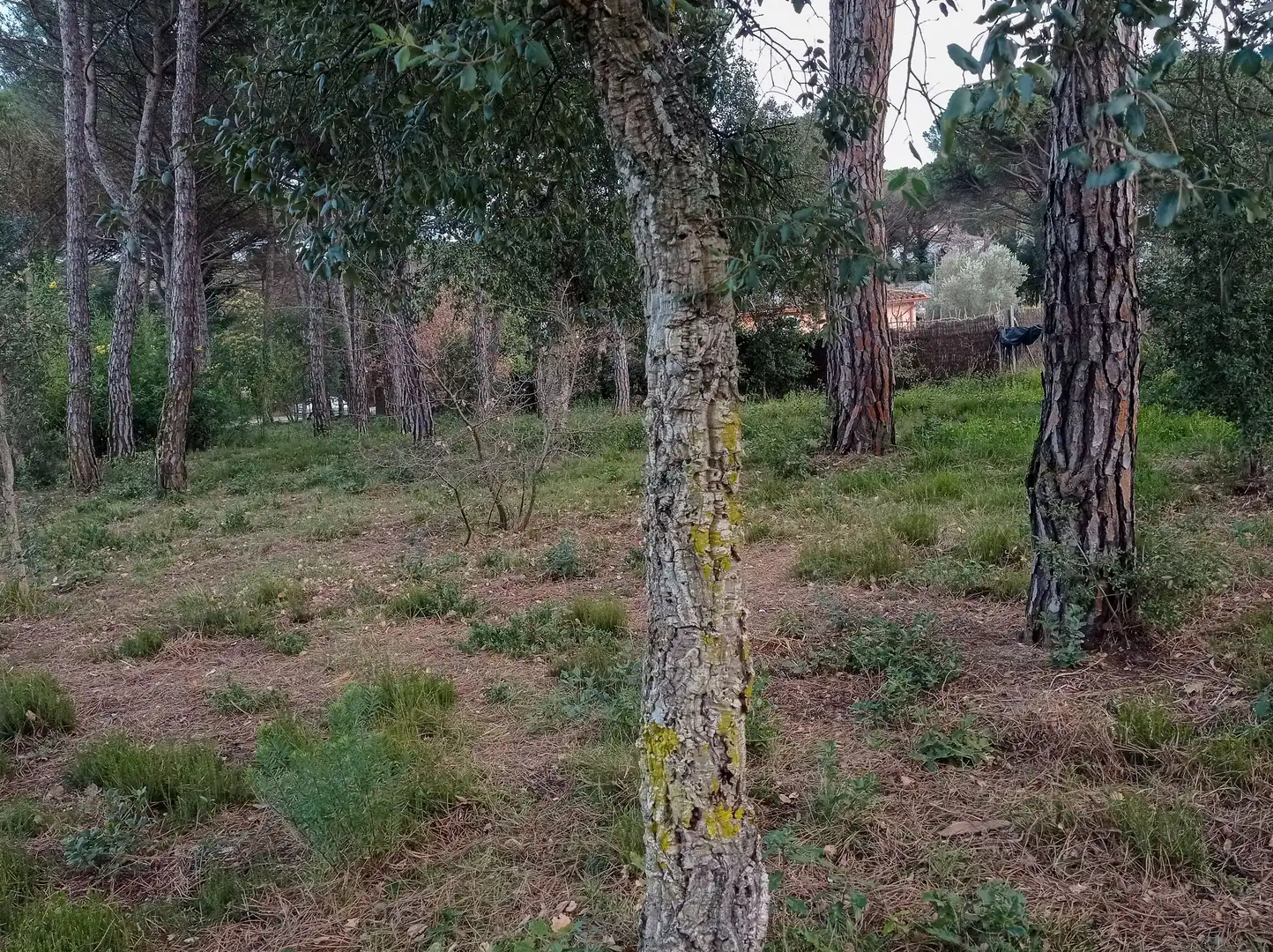 Terreny residencial en venda a Llagostera, imagen 14