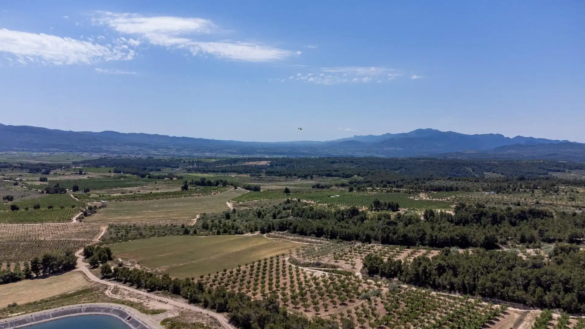 Finca rústica en venda en Móra d'Ebre