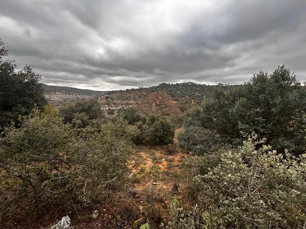 Terrenos y solares en venta en Hontoba, imagen 10