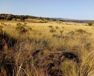 Terreny en venda en El Tejado