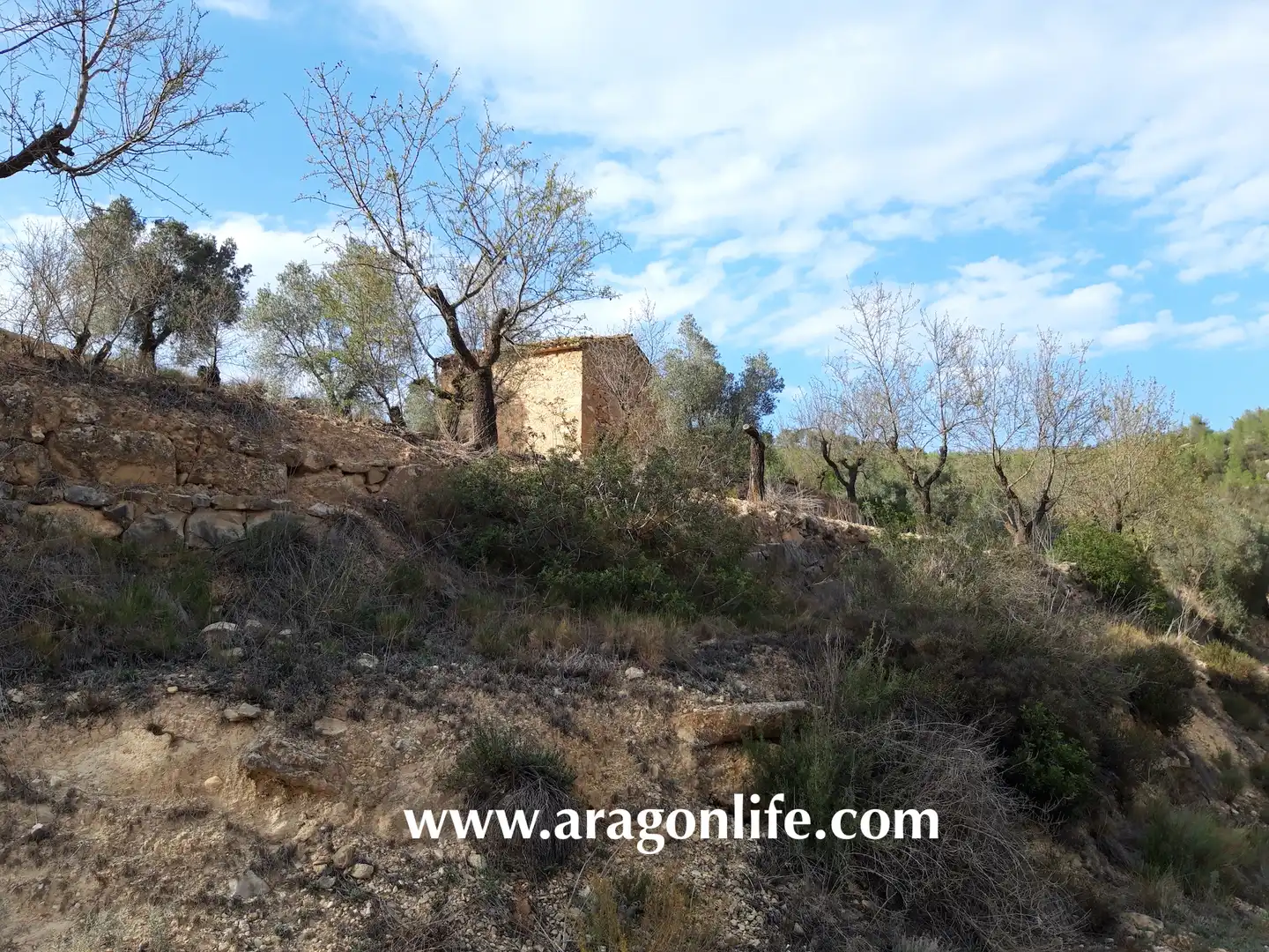 Finca rústica en venda en Caseres