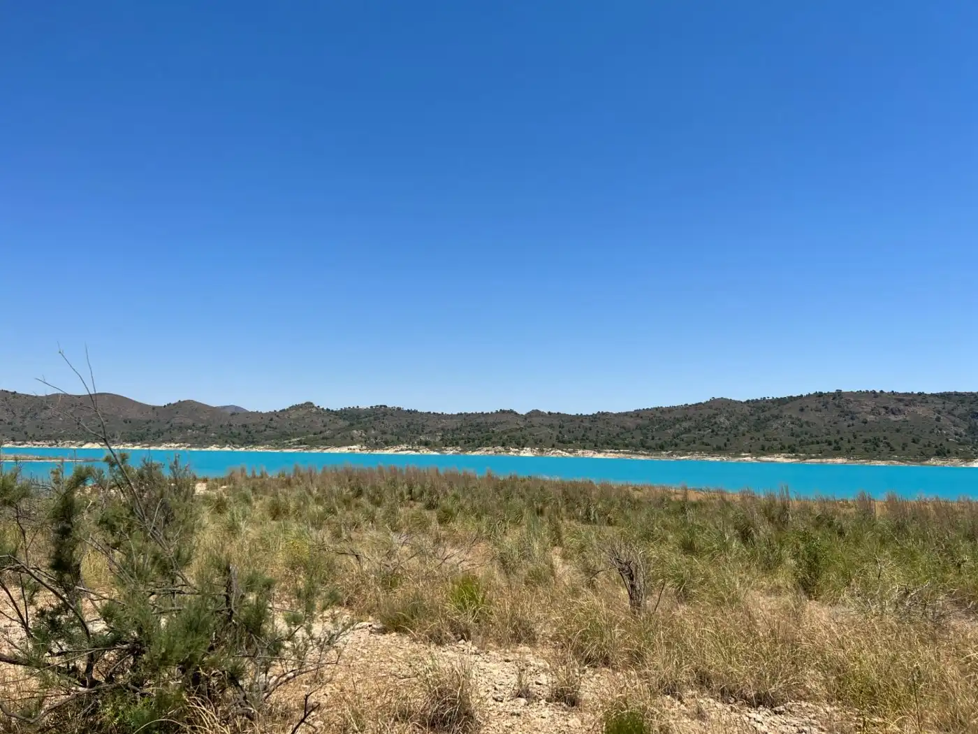 Terreno en venta en Férez