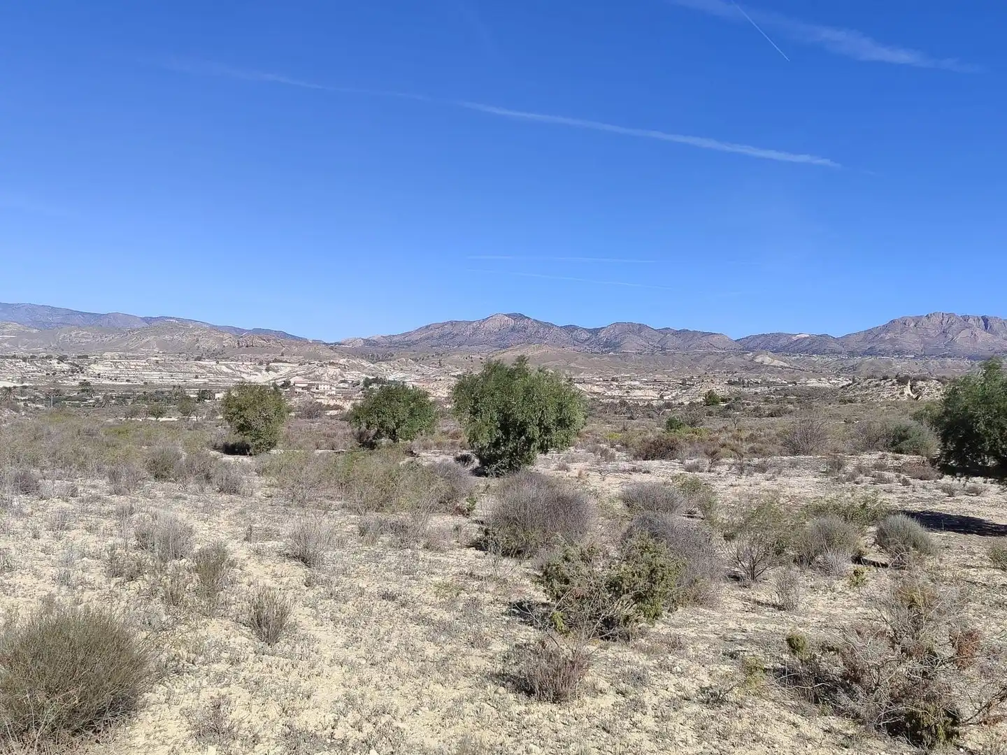 Lands and plots for sale in Abanilla, imagen 10