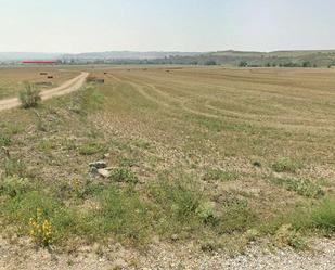 Land for sale in Driebes