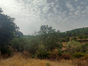 Terreno residencial en venta en Guillena pueblo