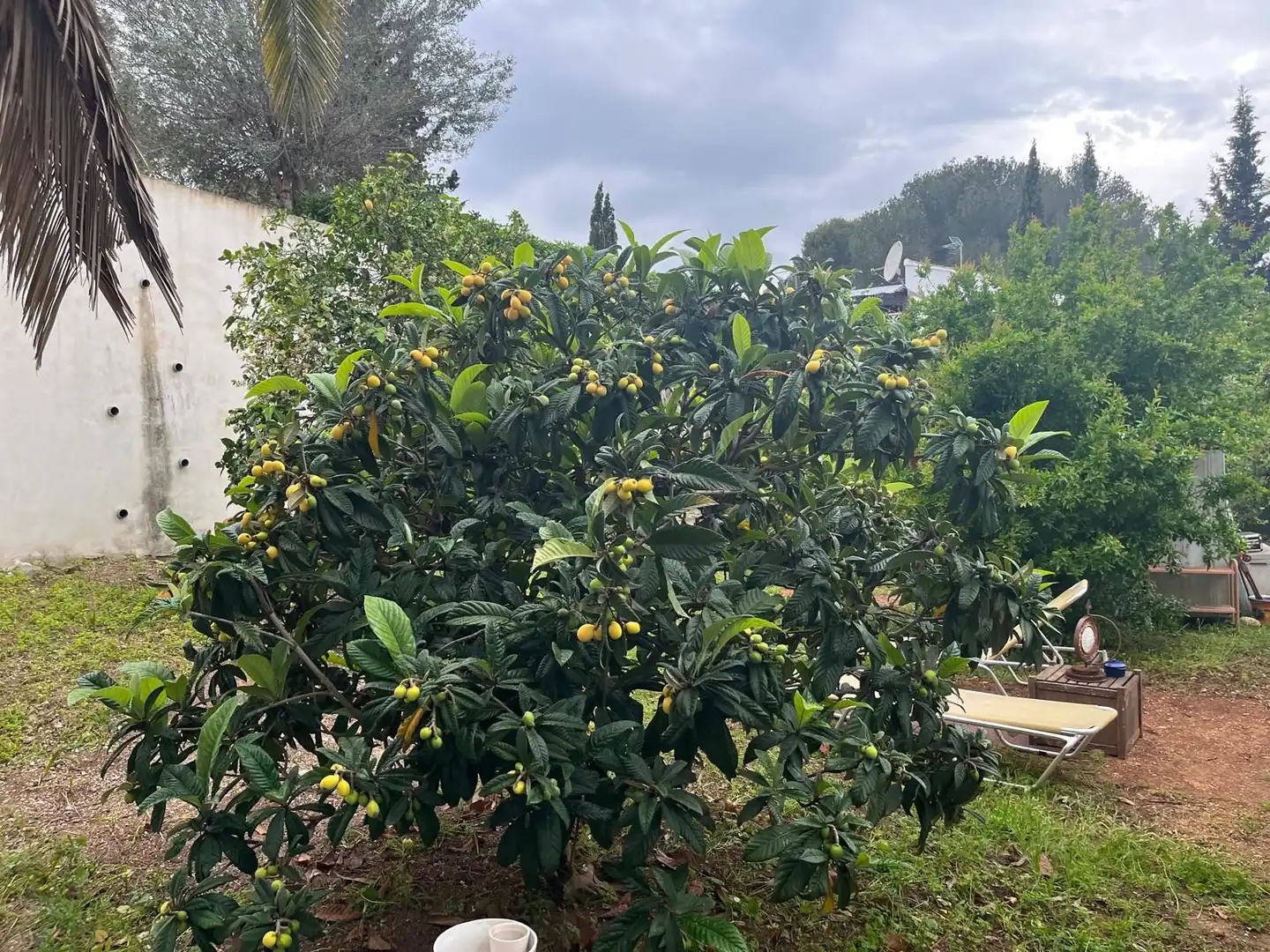 Chalet en venta en Cap Martí - El Tossalet - Pinomar, imagen 34