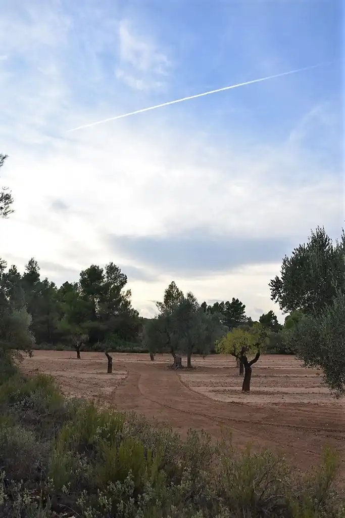 Terreni e lotti in vendita a Valderrobres, imagen 2